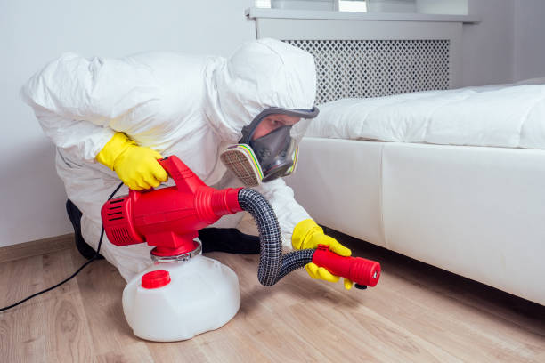 Best Pest Prevention Services  in Brusly, LA